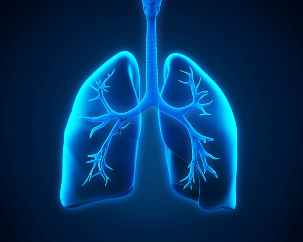 Home Care in Northbrook IL: Respiratory Conditions In Older Adults